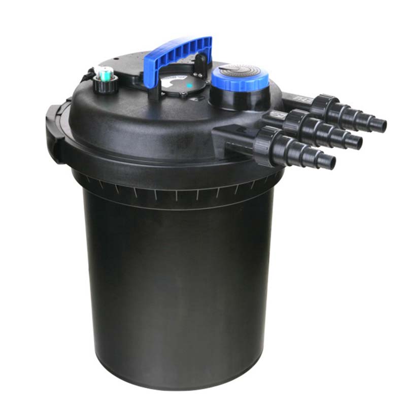 Cum un filtru de iaz îmbunătățește calitatea apei și creează un ecosistem acvatic sănătos?